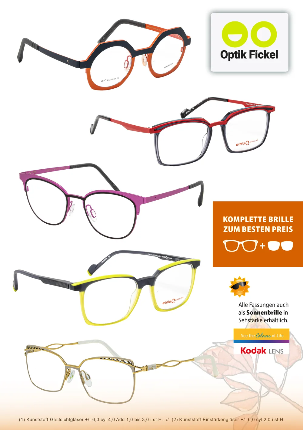 Fassungen von etnia Barcelona und Blackfin – komplette Brille zum besten Preis, alle Fassungen auch als Sonnenbrille in Sehstärke erhältlich, Gläser von Kodak Lens